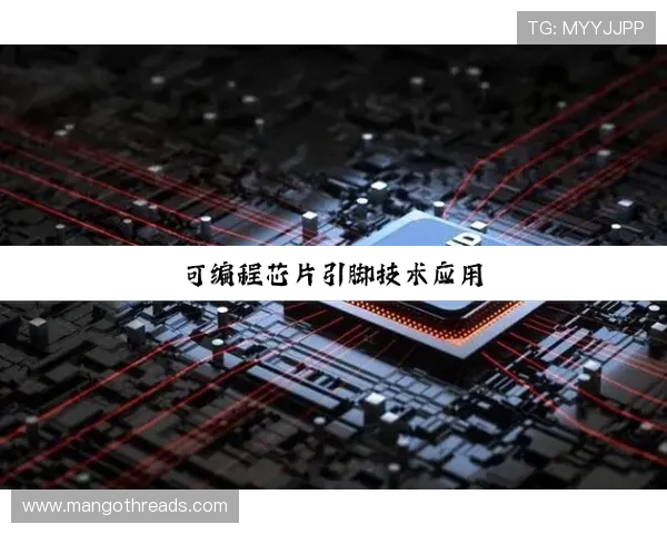 尊龙z6登录账号安全保障措施及密码重置流程全面解析