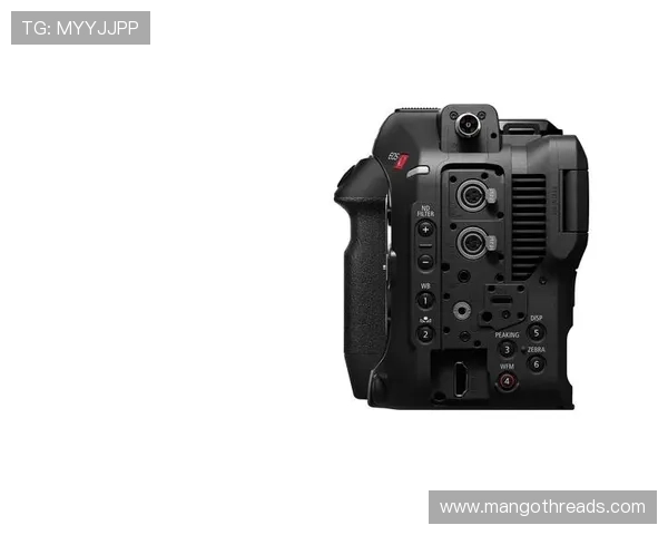 畅游Z6尊龙旗舰厅(中国)官方网站，让你的游戏之旅尽情释放激情